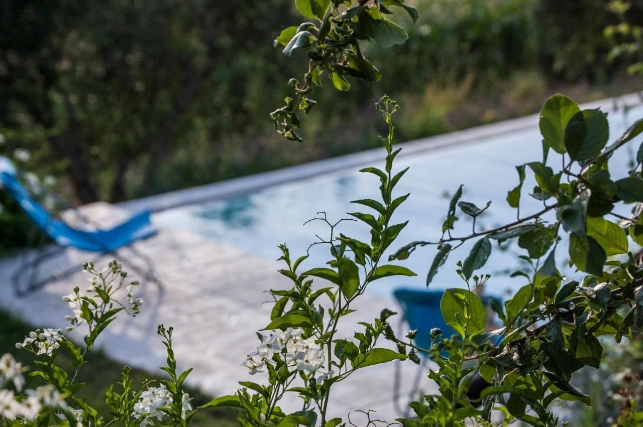 Tenuta San Rocco Conzano Екстериор снимка