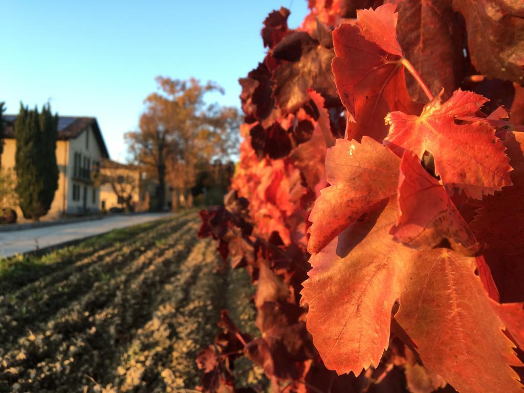 Tenuta San Rocco Conzano Екстериор снимка